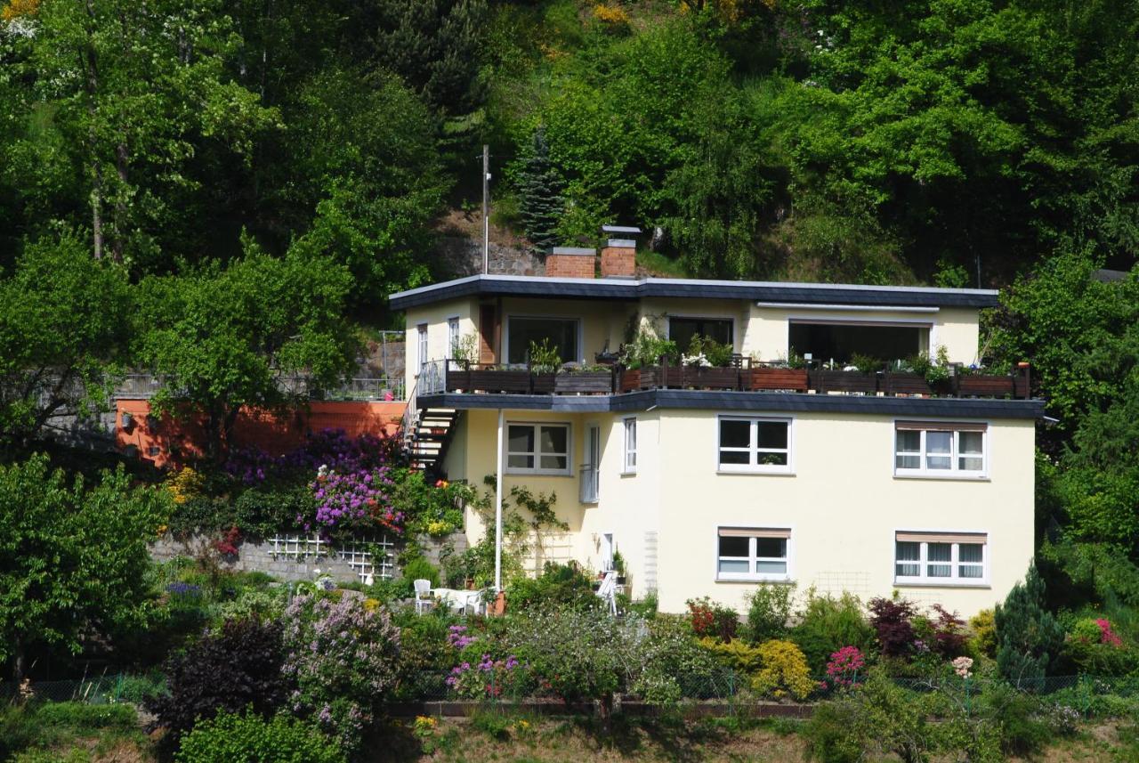 Ferienwohnung Haus Am Sommerberg Ludwigsstadt Dış mekan fotoğraf